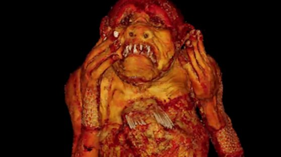 Разгадана тайна мумифицированной «русалки», пойманной в Японии