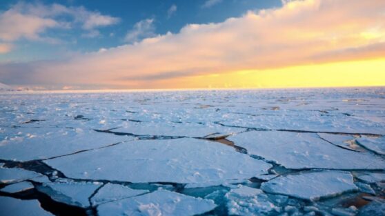 Дрейфующих на льдине школьников сняли на видео