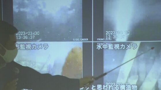 Фото из реакторов Фукусимы вызвали опасения у ученых