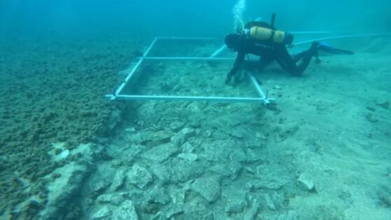 На дне моря нашли древнее шоссе возрастом 7000 лет