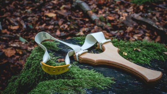 Мальчик предотвратил похищение младшей сестры, выстрелив в нападавшего из рогатки