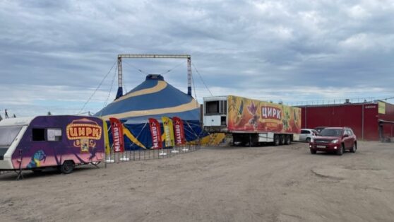 В цирке в Ленобласти обрушилась трибуна с людьми