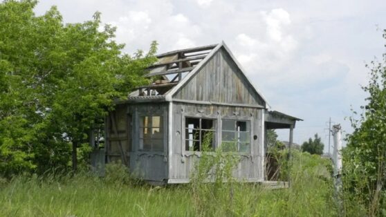 Названы способы оформить на себя заброшенный соседский участок