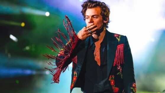 Гарри Стайлс остановил выступление ради беременной фанатки