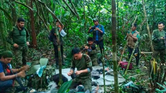 Четырех детей нашли живыми в джунглях через 40 дней после крушения самолета