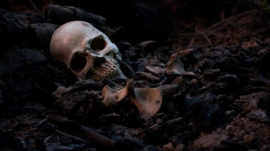 Останки 450 «вампиров» найдены в могиле в Польше