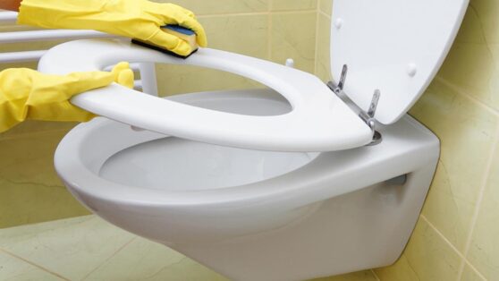 Как очистить бачок унитаза с помощью уксуса