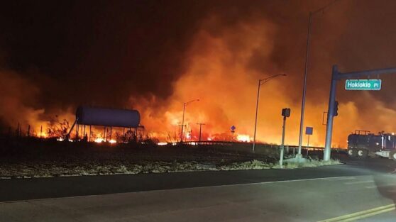 На Гавайях жители спасаются от пожара, прыгая в океан На Гавайях жители спасаются от пожара, прыгая в океан