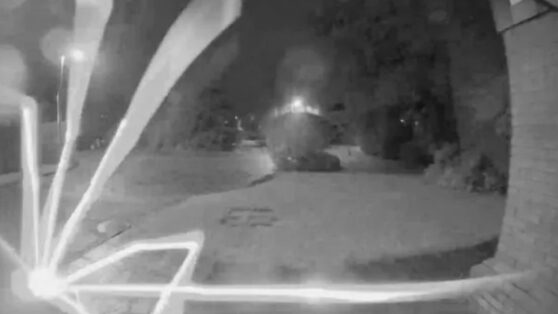 Паук позвонил в дверь и напугал спящих супругов