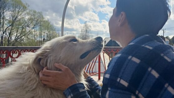 Кинолог рассказала, как собаки могут обнаруживать болезни у людей