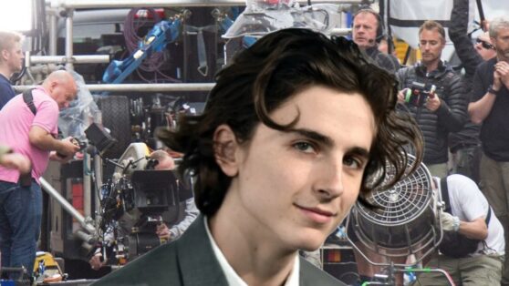 Коллеги Тимоти Шаламе рассказали о его токсичности на съемочной площадке вне камер